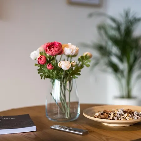 Modern Elle Malinska 아파트